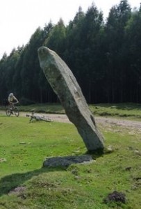 Menhir en ruta 8