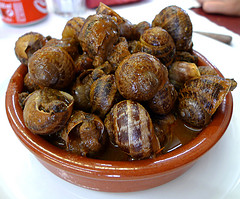 Caracoles de San Andrés.